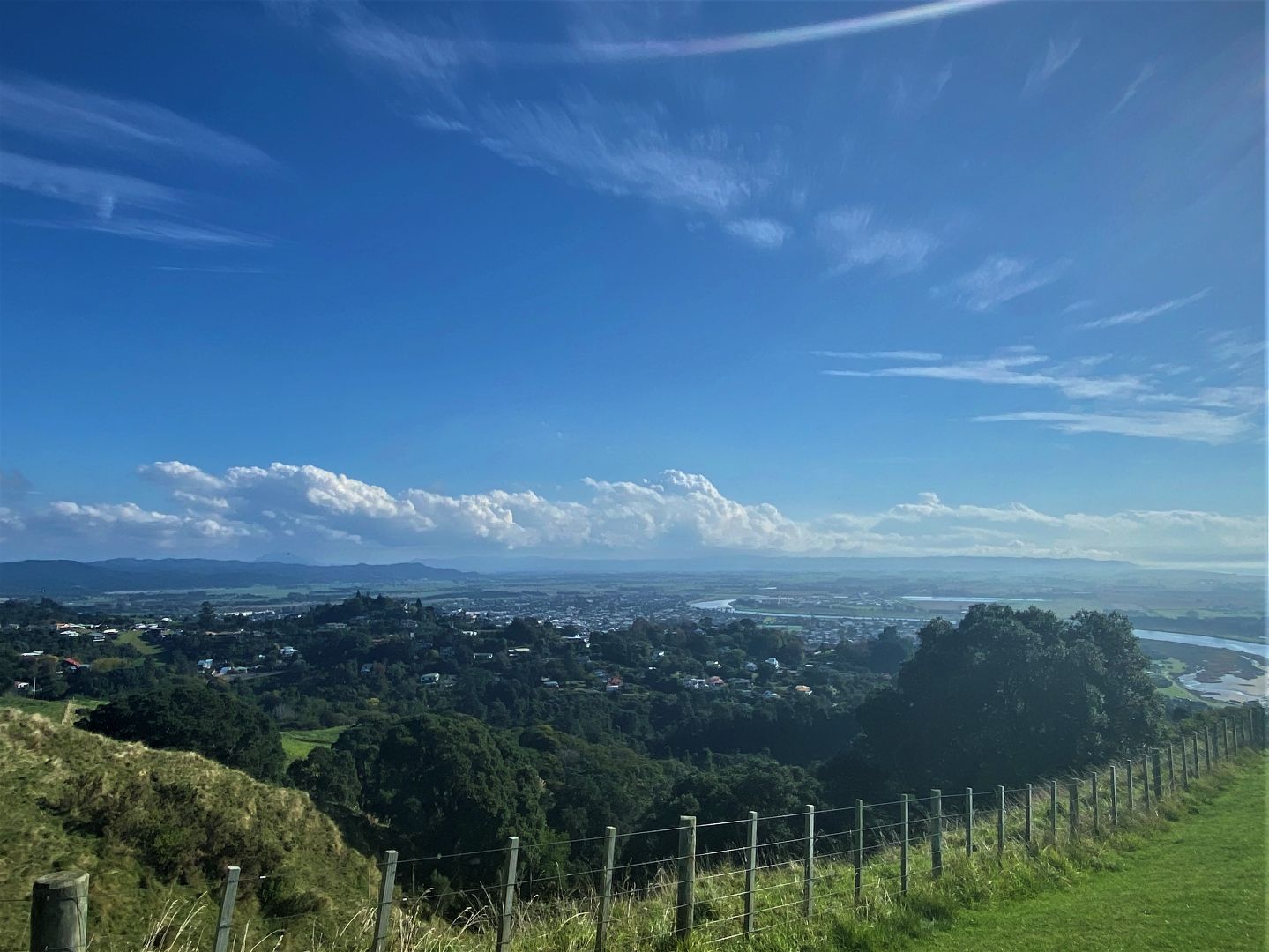 Carbon_Capture_Tree_and_Sky_Outlook_Rural_Accountants.jpg