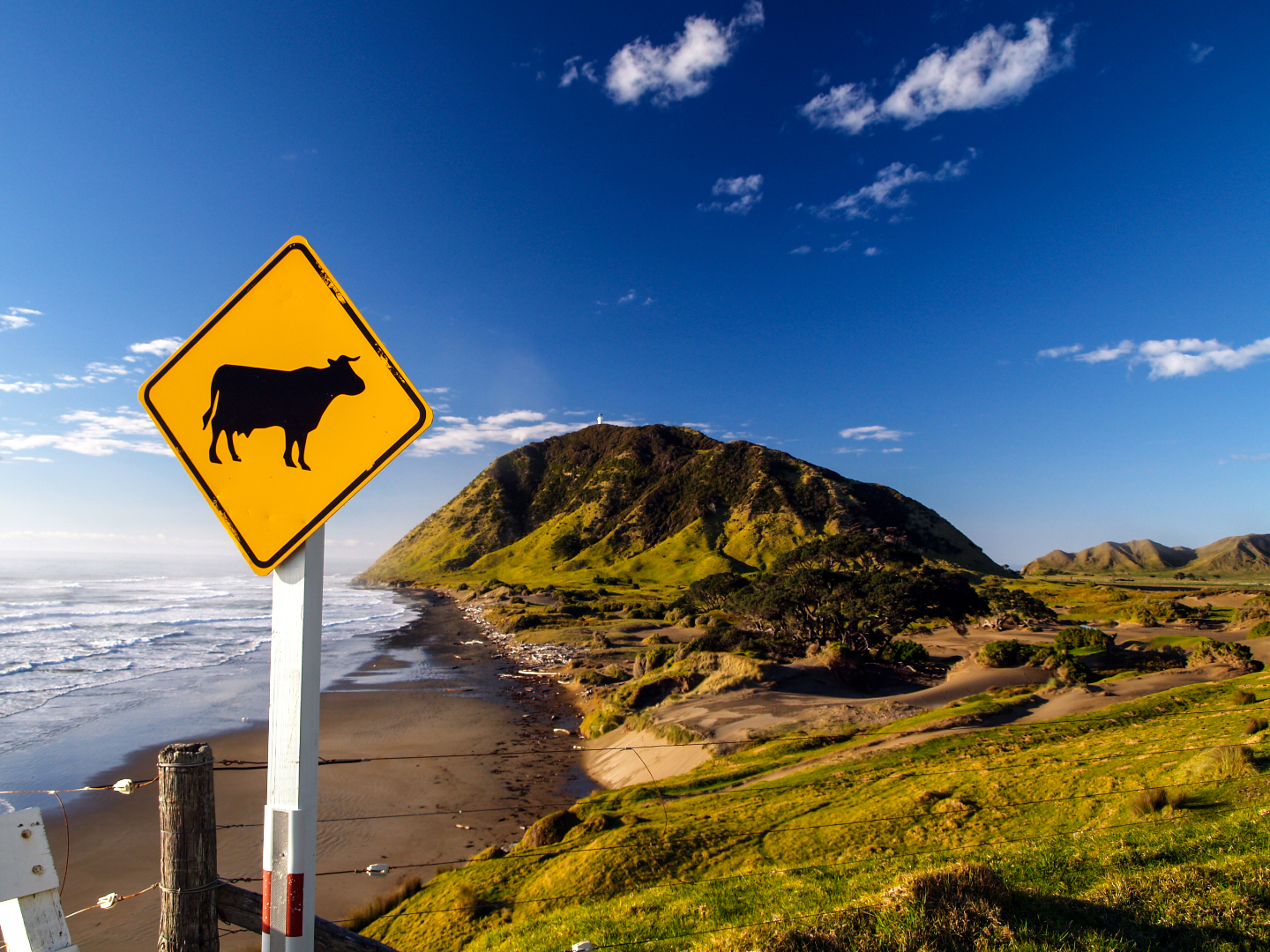 Fonterra_Seaweed_Trials_-_Rural_Accountants_Whakatane.png